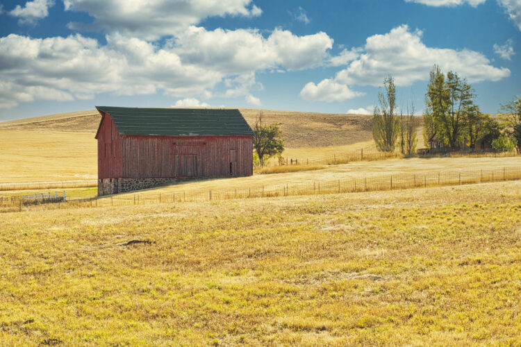 Star Modern Homesteaders